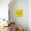 Yellow Raccoon Polygon-Lisa Kroll-Art Print displayed on a wall