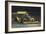 Yellow Race Car-William Vanderdasson-Framed Giclee Print