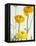 Yellow Ranunculus-Michelle Garrett-Framed Premier Image Canvas