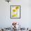 Yellow Ranunculus-Michelle Garrett-Framed Photographic Print displayed on a wall