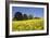 Yellow Rape Fields, Canola Fields, Wiltshire, England Against a Blue Sky-David Clapp-Framed Photographic Print