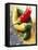 Yellow, Red and Green Chili Peppers-Joerg Lehmann-Framed Premier Image Canvas