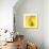 Yellow Red Rose Abstract No 186-Shams Rasheed-Giclee Print displayed on a wall