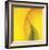 Yellow Red Rose Abstract No 186-Shams Rasheed-Framed Giclee Print