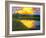 Yellow Reflections on Voorhis Pond-Patty Baker-Framed Art Print