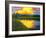 Yellow Reflections on Voorhis Pond-Patty Baker-Framed Art Print