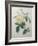 Yellow Rose of the Indies-Pierre-Joseph Redoute-Framed Art Print