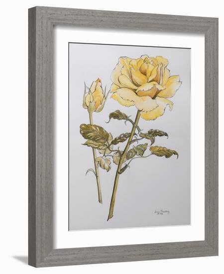 Yellow Rose with Leaves with Bud, 2012-Joan Thewsey-Framed Giclee Print