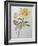 Yellow Rose with Leaves with Bud, 2012-Joan Thewsey-Framed Giclee Print