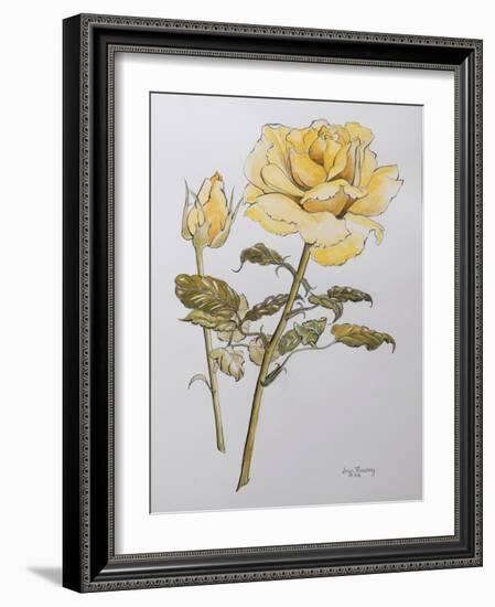 Yellow Rose with Leaves with Bud, 2012-Joan Thewsey-Framed Giclee Print