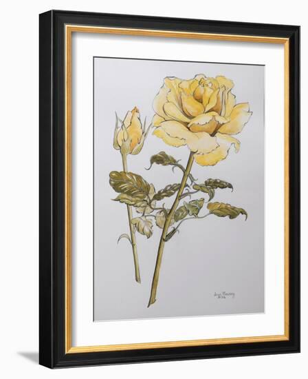 Yellow Rose with Leaves with Bud, 2012-Joan Thewsey-Framed Giclee Print