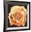 Yellow Rose-Lowell Blair Nesbitt-Framed Collectable Print