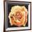 Yellow Rose-Lowell Blair Nesbitt-Framed Collectable Print