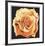 Yellow Rose-Lowell Blair Nesbitt-Framed Collectable Print