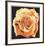 Yellow Rose-Lowell Blair Nesbitt-Framed Collectable Print