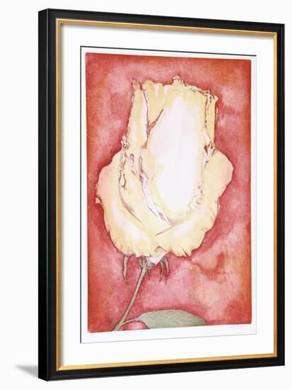 Yellow Rose-Hank Laventhol-Framed Collectable Print