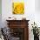 Yellow Rose-Joseph Eta-Giclee Print displayed on a wall