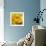 Yellow Rose-null-Framed Photographic Print displayed on a wall