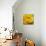 Yellow Rose-null-Mounted Photographic Print displayed on a wall