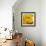 Yellow Rose-null-Framed Photographic Print displayed on a wall