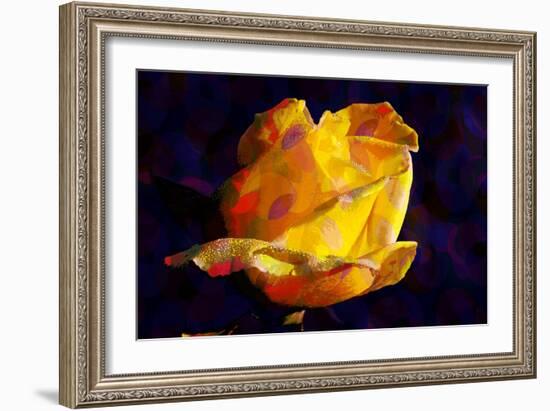 Yellow Rose-Scott J. Davis-Framed Giclee Print