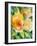 Yellow Roses Garden-Lanie Loreth-Framed Art Print