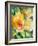 Yellow Roses Garden-Lanie Loreth-Framed Art Print