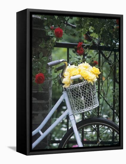 Yellow Roses in Bicycle Basket, Red Climbing Roses Behind-Alena Hrbkova-Framed Premier Image Canvas