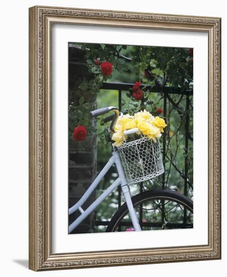 Yellow Roses in Bicycle Basket, Red Climbing Roses Behind-Alena Hrbkova-Framed Photographic Print