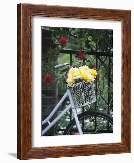 Yellow Roses in Bicycle Basket, Red Climbing Roses Behind-Alena Hrbkova-Framed Photographic Print