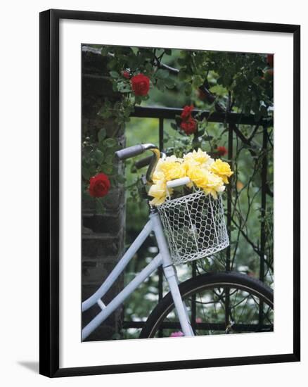 Yellow Roses in Bicycle Basket, Red Climbing Roses Behind-Alena Hrbkova-Framed Photographic Print