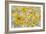 Yellow Roses-Silvia Vassileva-Framed Art Print