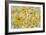 Yellow Roses-Silvia Vassileva-Framed Art Print