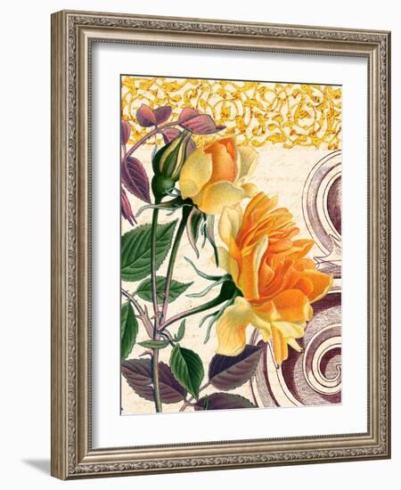 Yellow Roses-Piddix-Framed Art Print