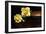 Yellow Roses-5fishcreative-Framed Giclee Print