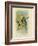 Yellow-Rumped Parakeet or Yellow Rosella, 1891-Gracius Broinowski-Framed Giclee Print