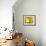 Yellow Shades-Andrew Michaels-Framed Photographic Print displayed on a wall