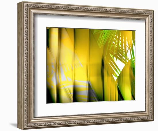 Yellow Shades-Andrew Michaels-Framed Photographic Print