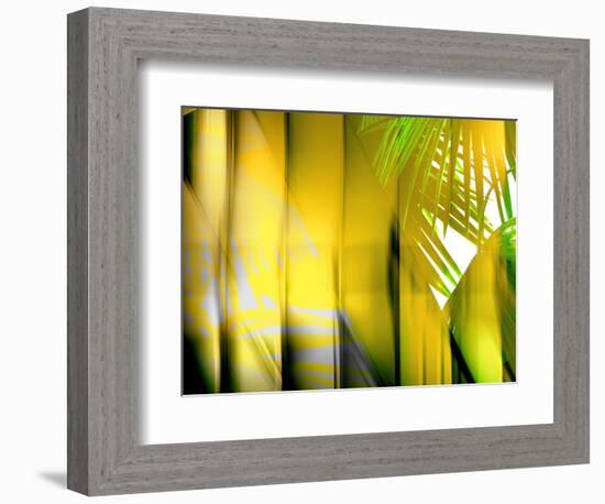 Yellow Shades-Andrew Michaels-Framed Photographic Print