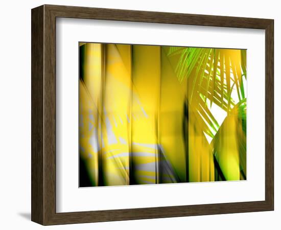 Yellow Shades-Andrew Michaels-Framed Photographic Print