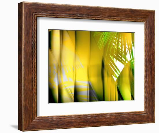 Yellow Shades-Andrew Michaels-Framed Photographic Print