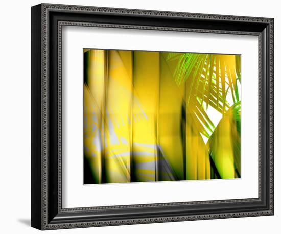 Yellow Shades-Andrew Michaels-Framed Photographic Print