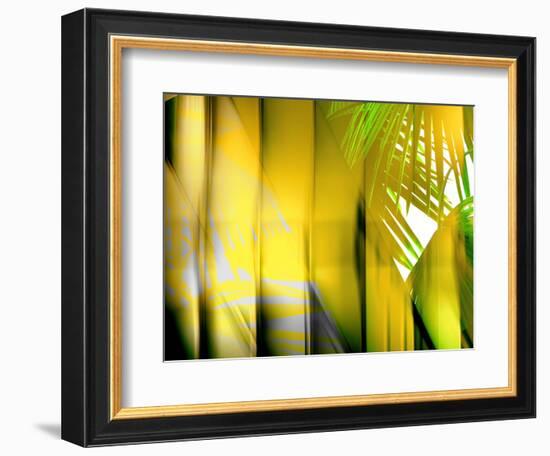 Yellow Shades-Andrew Michaels-Framed Photographic Print