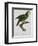 Yellow-Shouldered Parrot-Jacques Barraband-Framed Premium Giclee Print
