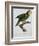 Yellow-Shouldered Parrot-Jacques Barraband-Framed Giclee Print