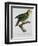 Yellow-Shouldered Parrot-Jacques Barraband-Framed Giclee Print
