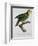 Yellow-Shouldered Parrot-Jacques Barraband-Framed Giclee Print