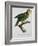 Yellow-Shouldered Parrot-Jacques Barraband-Framed Giclee Print