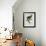 Yellow-Shouldered Parrot-Jacques Barraband-Framed Giclee Print displayed on a wall