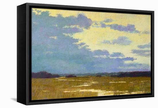 Yellow Sky-Carol Strock Wasson-Framed Stretched Canvas